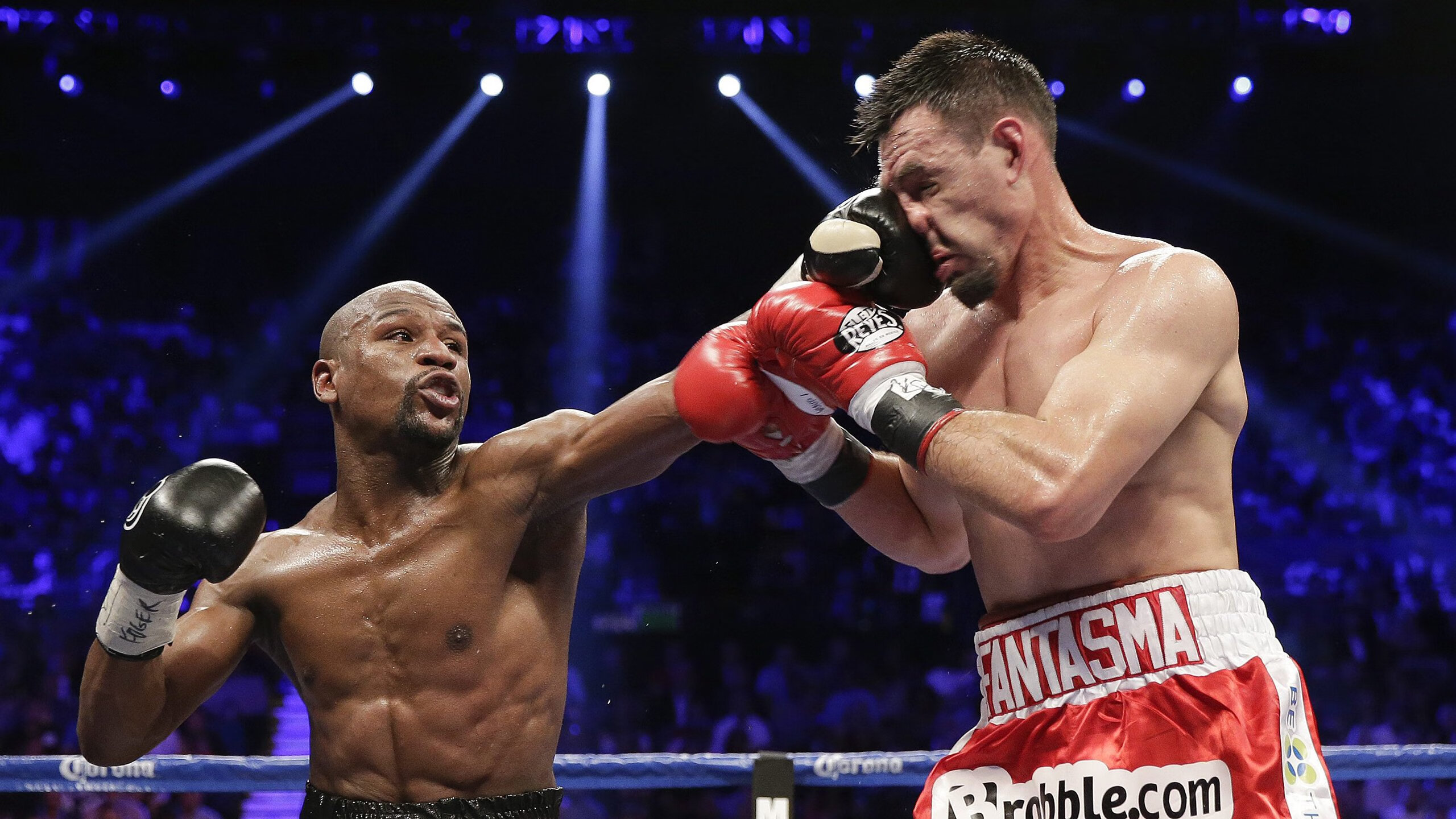 “诺克·达维德·彼得森带领南非羚羊队锁定世界冠军”